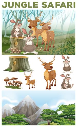 Wild animals in the jungle safari vector