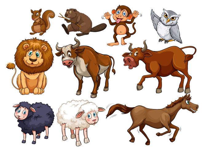 Wild animals in various types - Download Free Vector Art, Stock Graphics & Images