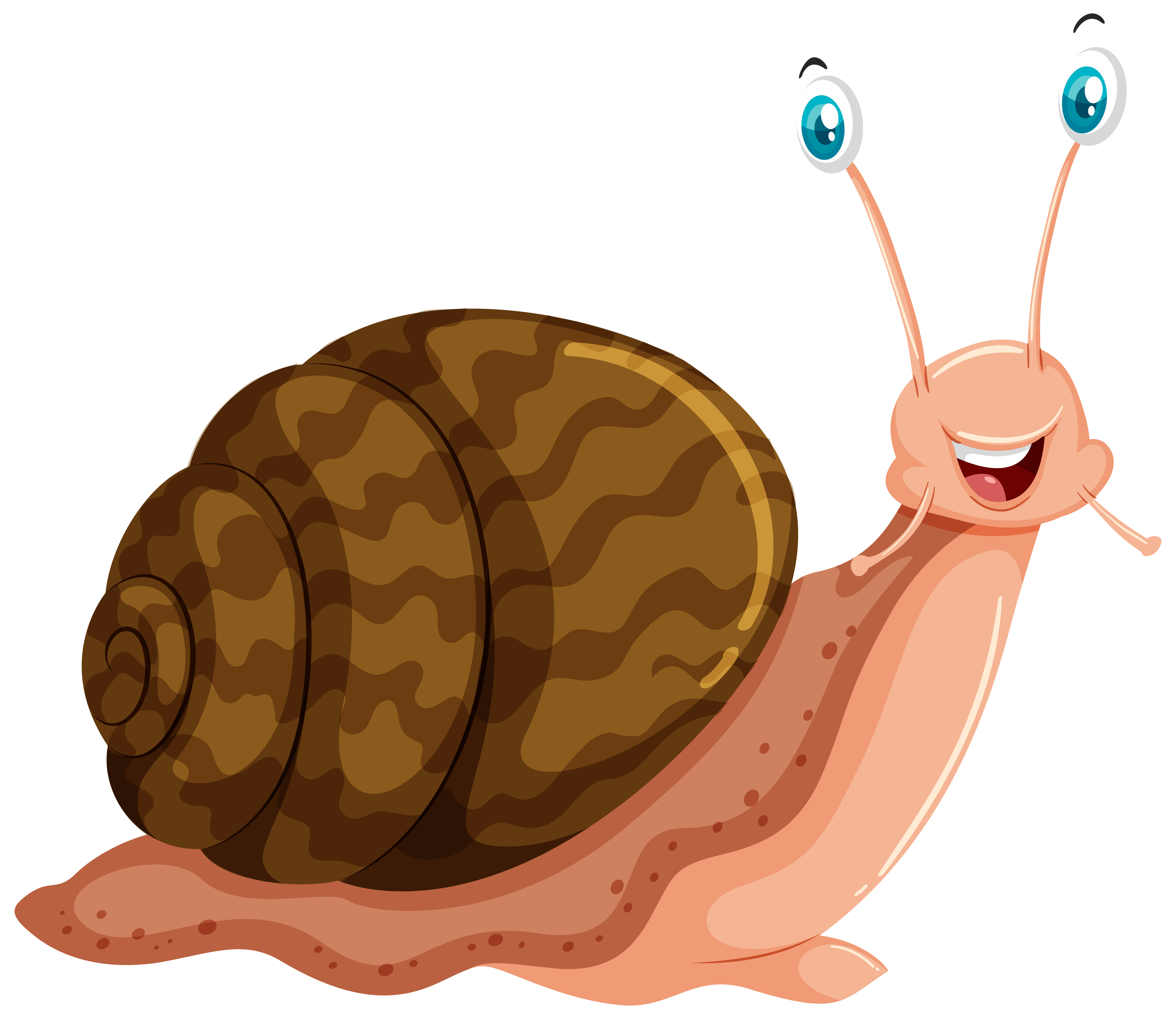 Snail Vector Art, Icons, and Graphics for Free Download