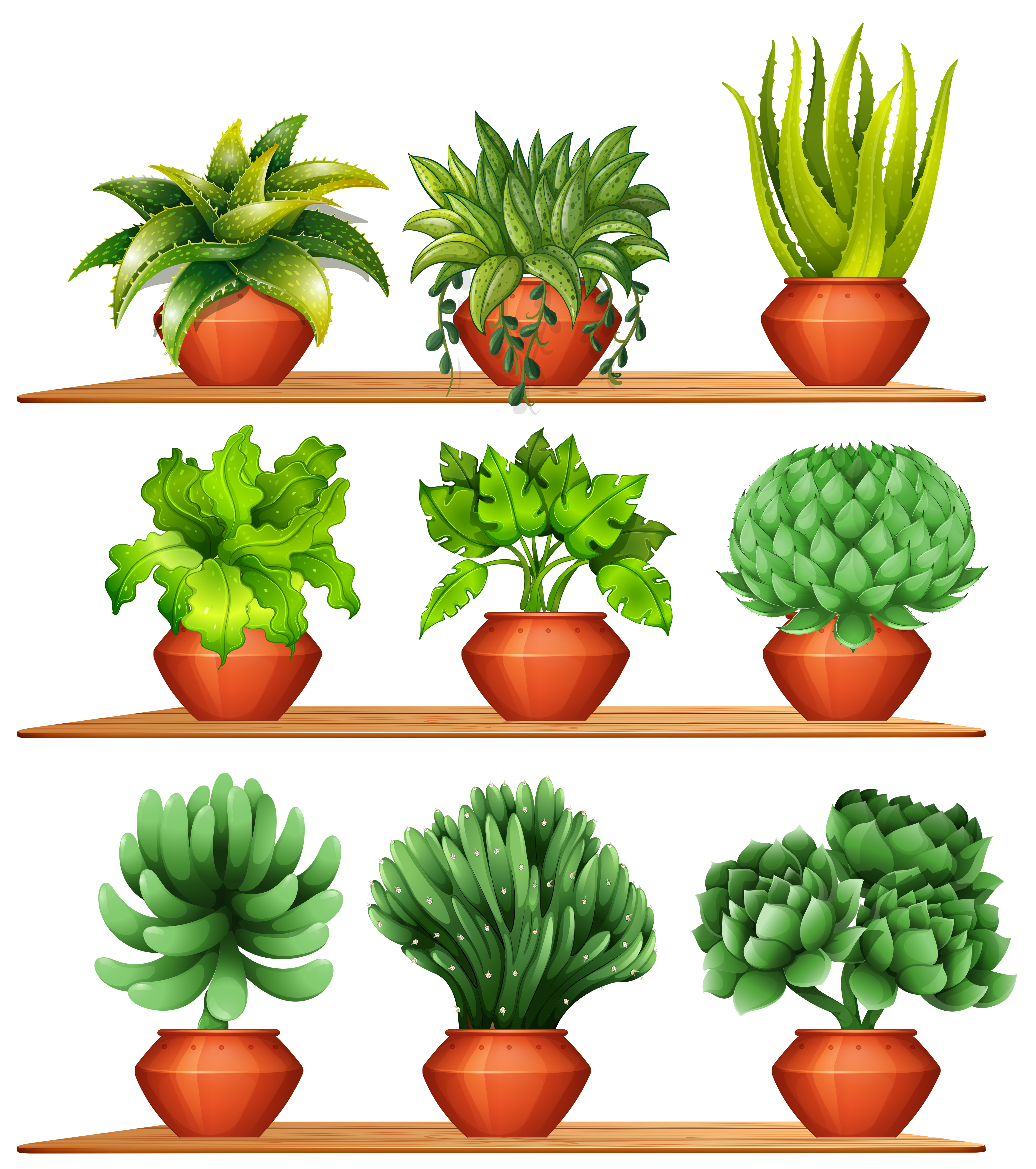 Different kinds of plants in clay pots 299183 Vector Art
