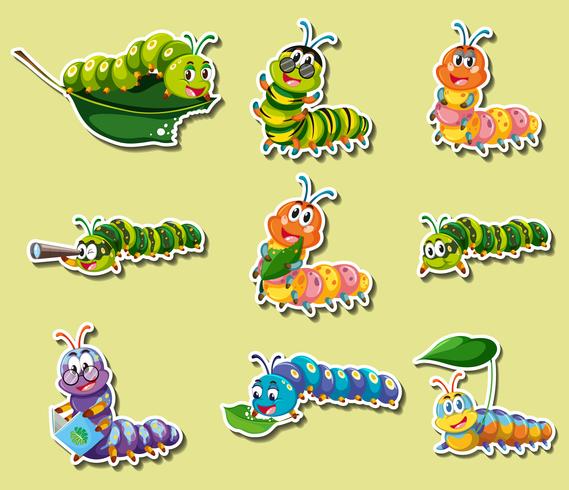 Sticker set with different color caterpillars vector
