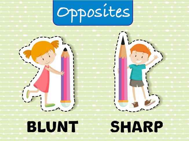 Opposite words for blunt and sharp vector