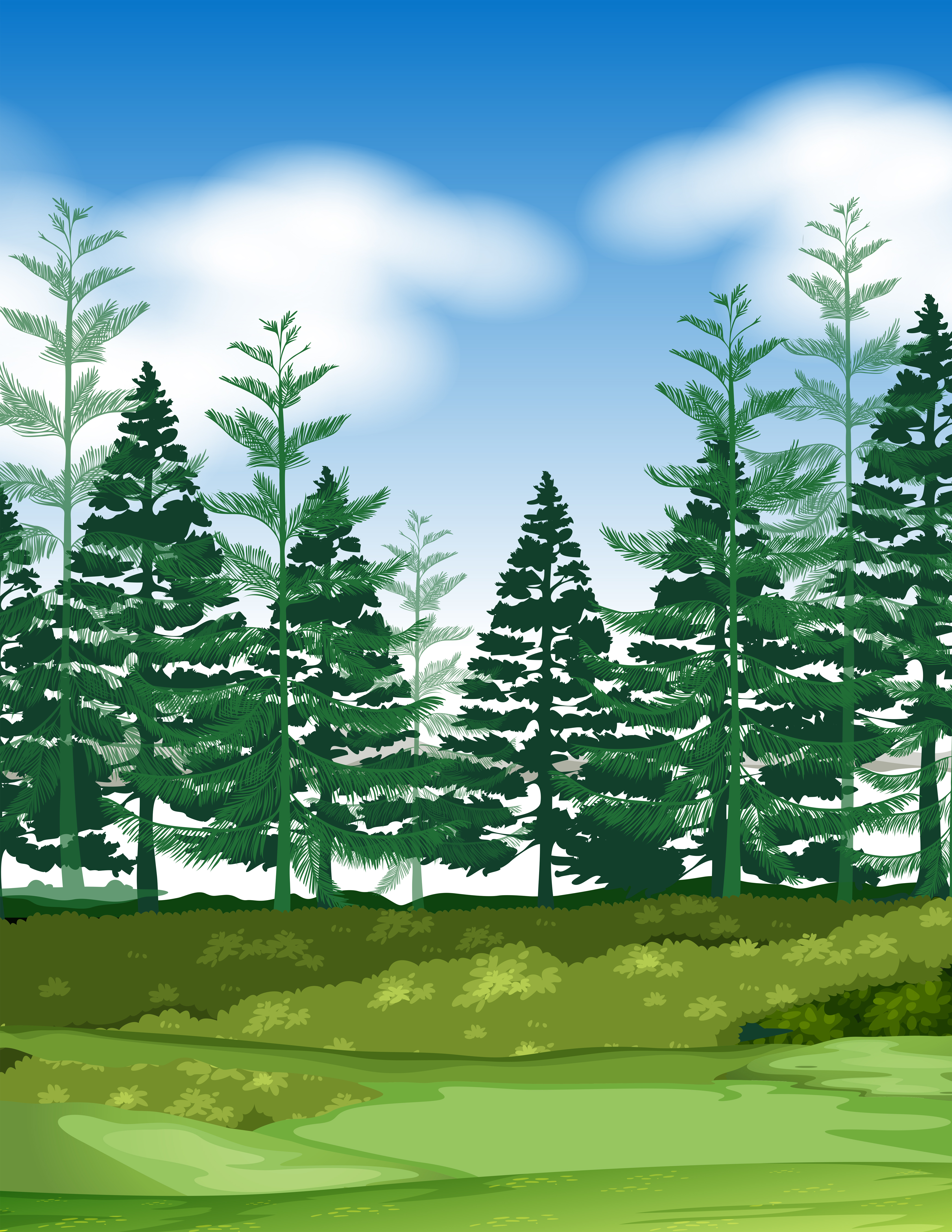 Forest scene with pine trees 299234 Vector Art at Vecteezy