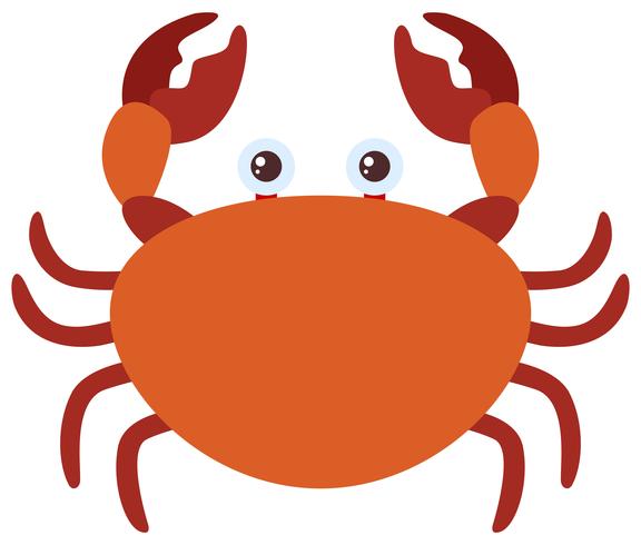 Brown crab on white background vector