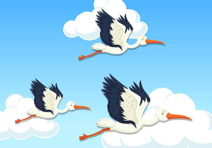 Heron bird flying on the sky vector