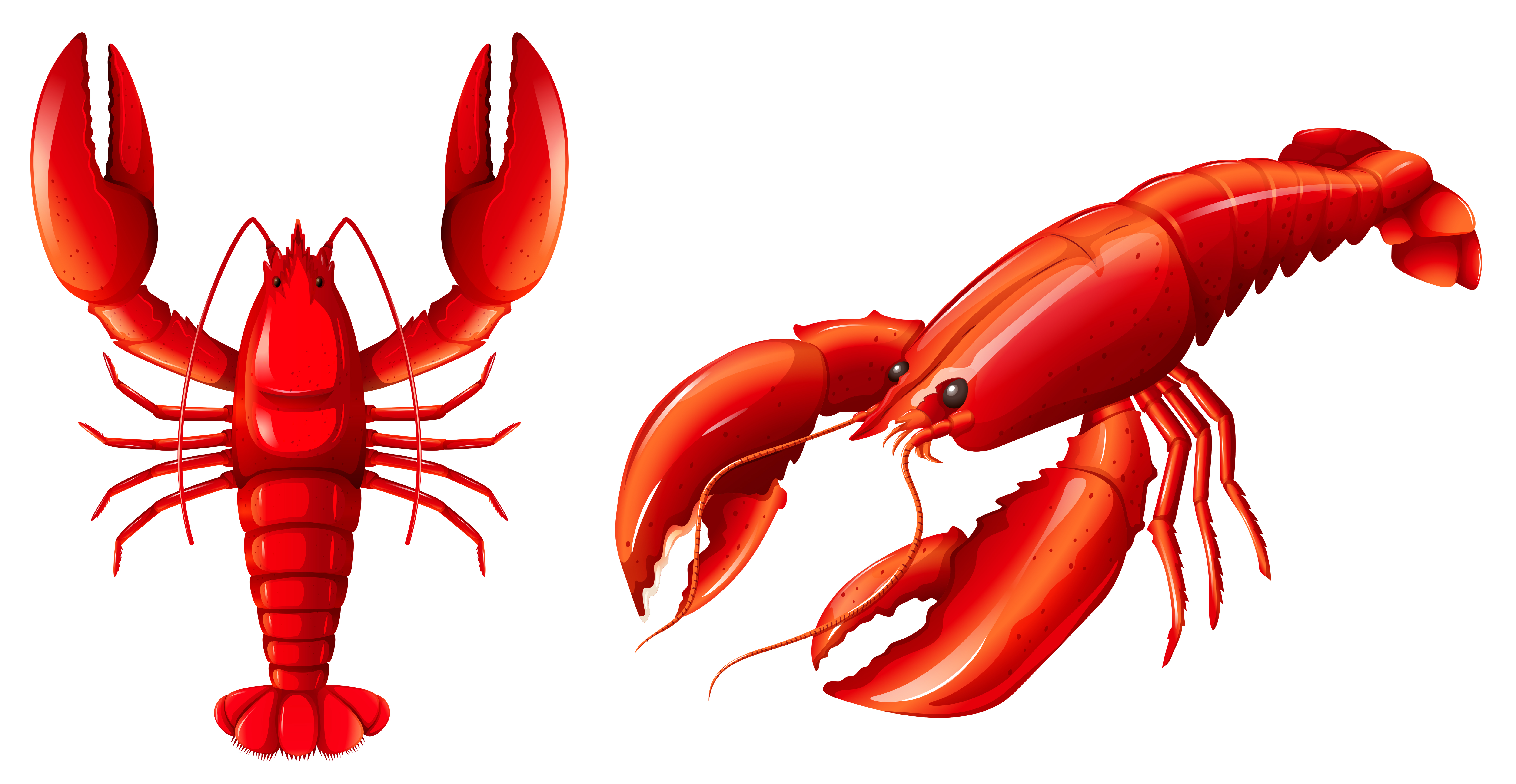 Lobster Svg Clip Art