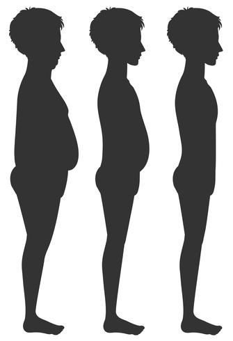 Una plantilla de transformación del cuerpo humano vector