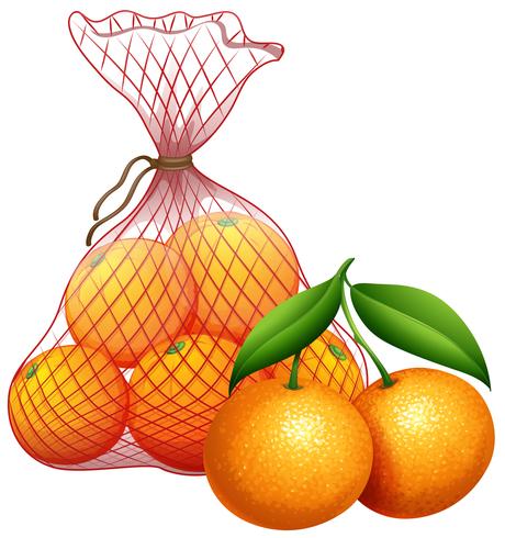 A bag of tangerine vector