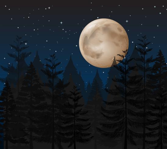 Una noche oscura bosque vector