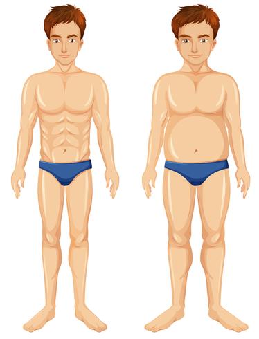 Un conjunto de transformación del cuerpo del hombre. vector