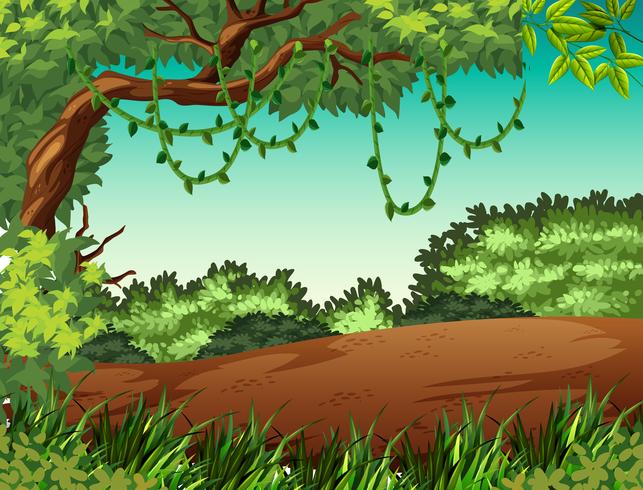 Escena de fondo de paisaje de selva vector