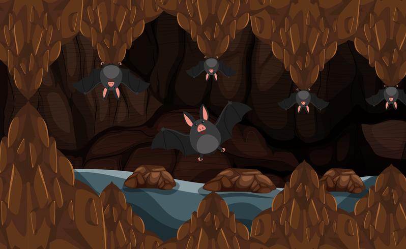 Undergrounf cave with bats vector