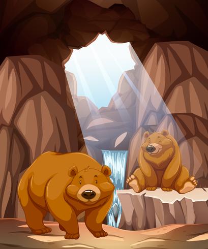 Two happy bears in a cave vector