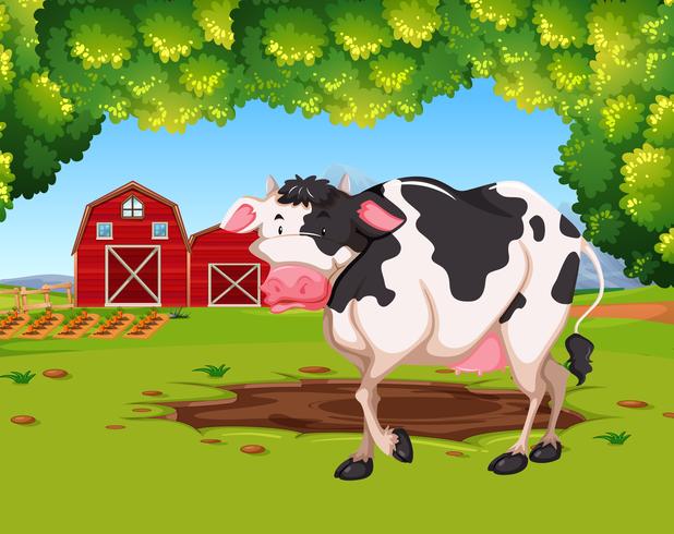 Cow in farm scene vector