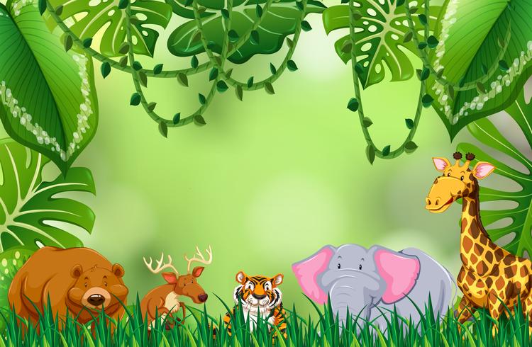 Wild animal in jungle vector