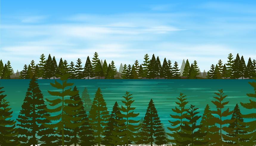 Escena de fondo con bosque de pinos junto al lago vector