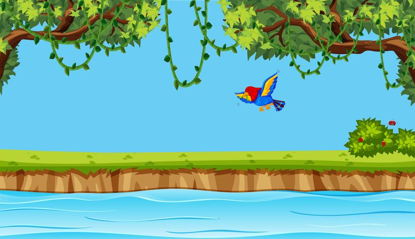 Bird flying on nature background vector