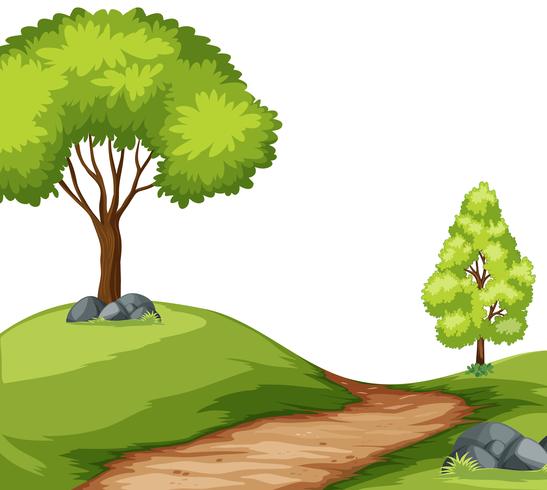 Road in forest landscape vector