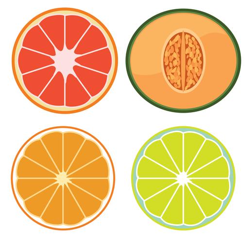A Set of Sliced Fruits - Download Free Vector Art, Stock Graphics & Images