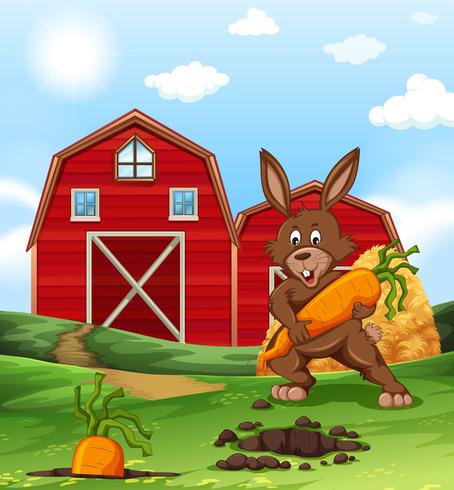 Brown rabbit and carrot on the farm vector