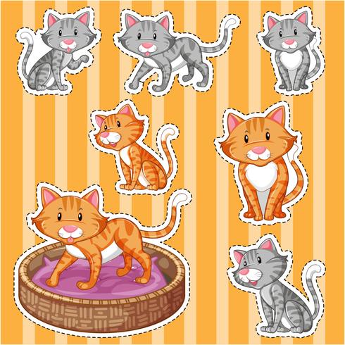 Conjunto de pegatinas con lindos gatos sobre fondo amarillo. vector