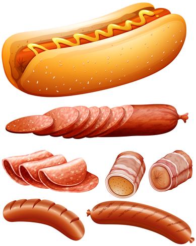 Diferentes tipos de carne y hotdog. vector