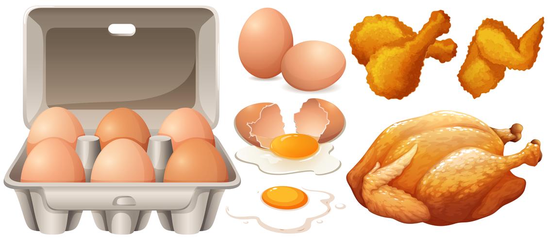 Huevos Y Pollo Frito. vector