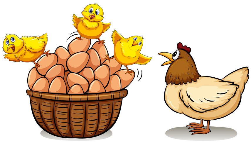 Chicken and eggs in basket vector