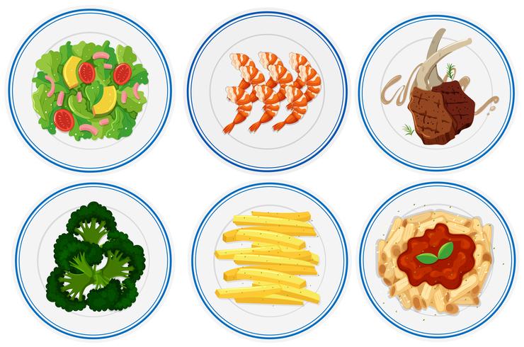 Different types of food on plates vector