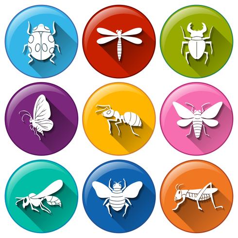 Iconos de insectos vector