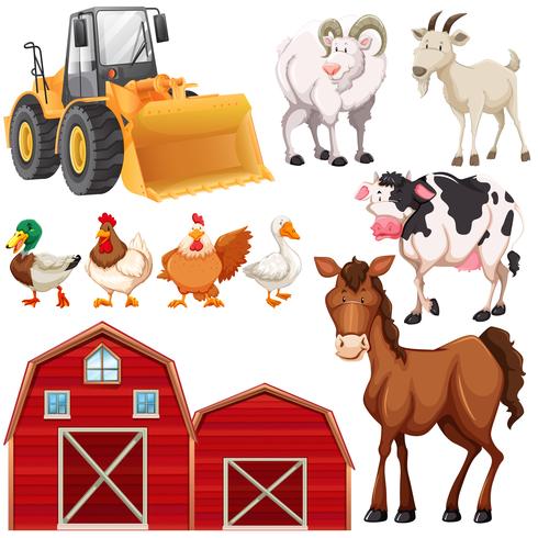 Conjunto de animales de granja y graneros. vector