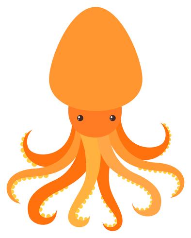 Orange octopus on white background vector