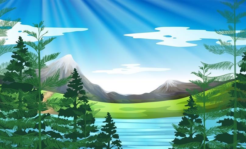 Escena de fondo de lago y bosque de pinos vector