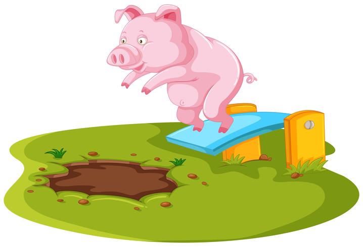 Cochon Sautant Dans Une Flaque D39eau Boueuse