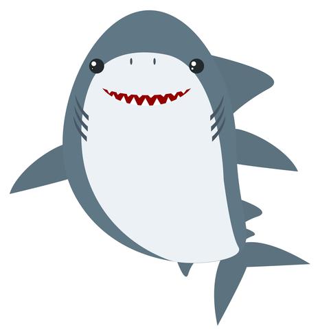 Great white shark on white background vector