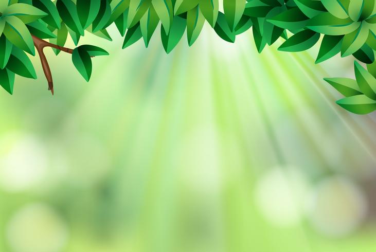 Background template with leaves and green light vector