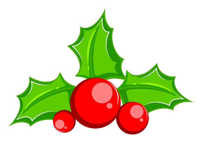 Common holly Christmas tree Leaf vector