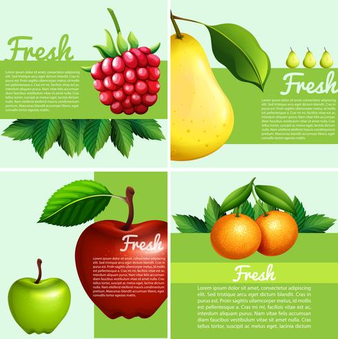 Diseño infográfico con frutas frescas. vector