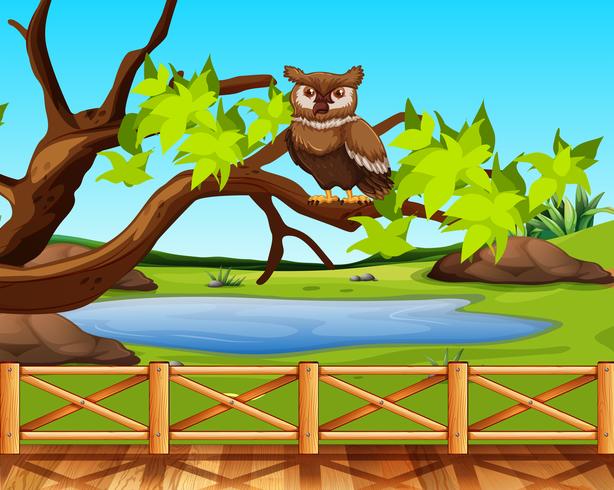 An owl sitting in a tree scene vector