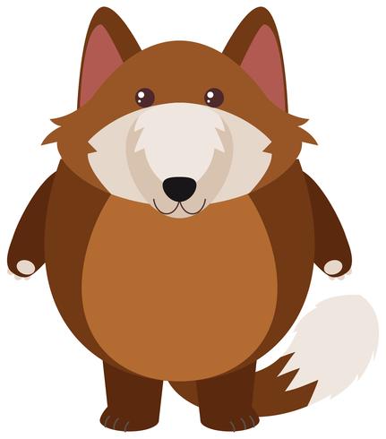 Brown wolf on white background vector