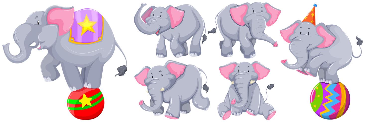 Gray elephants in different actions vector