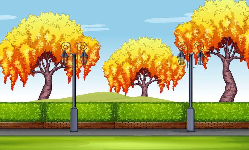 Scene with willow trees in the park vector