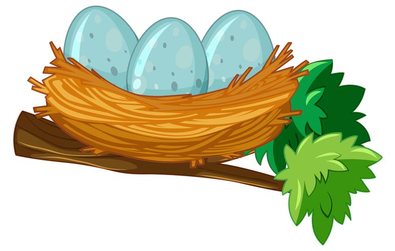 Egg on the nest vector
