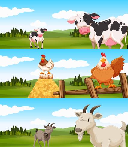 Farm animals living on farm - Download Free Vector Art, Stock Graphics & Images