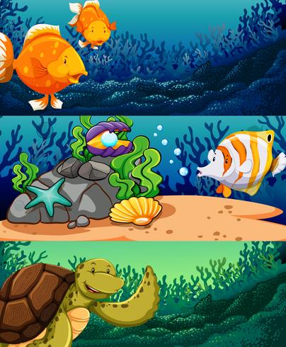 Sea animals under the ocean vector