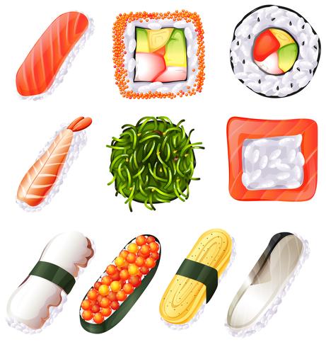 Set of sushi vector