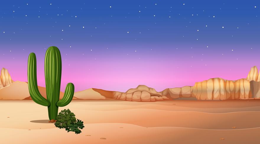 desert scene with sunset vector