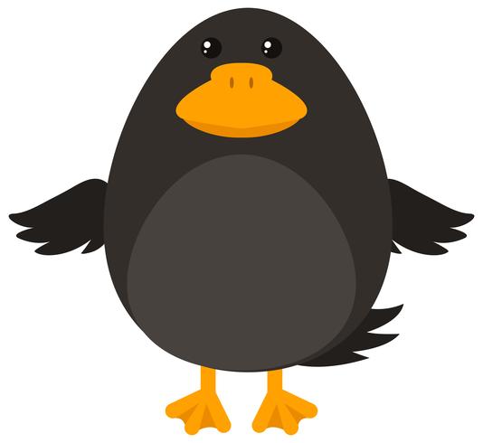 Pájaro negro sobre fondo blanco vector