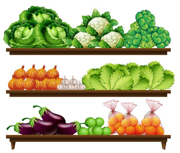 Conjunto de vegetales orgánicos. vector