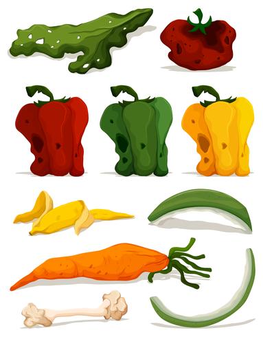 Different types of rotten vegetables vector